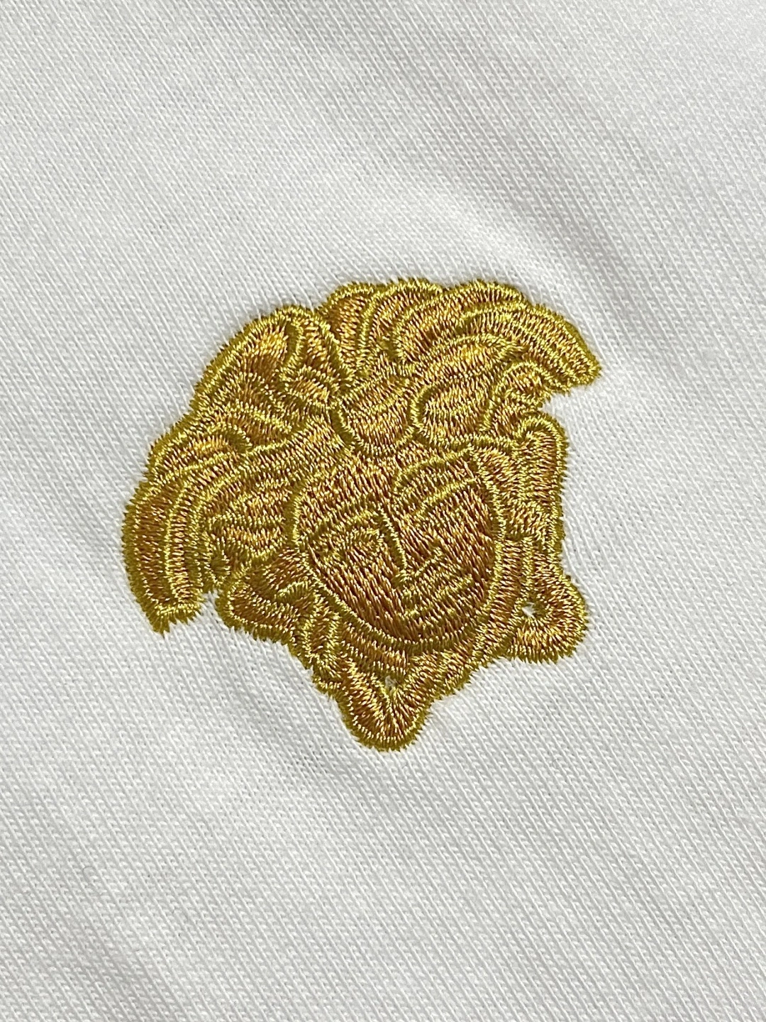 wg.luxury- V5rs135 embroidery 2Colour item:E-F026E1024-2
